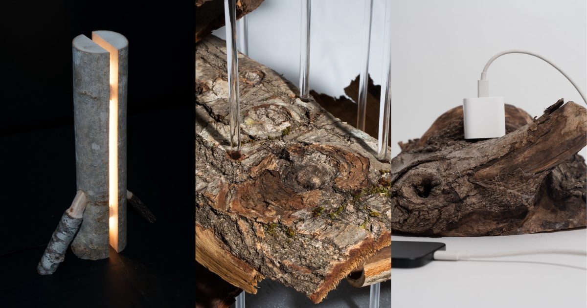 枝・樹皮・コブに光をあてる、法政大学山道拓人研究室がデザインした