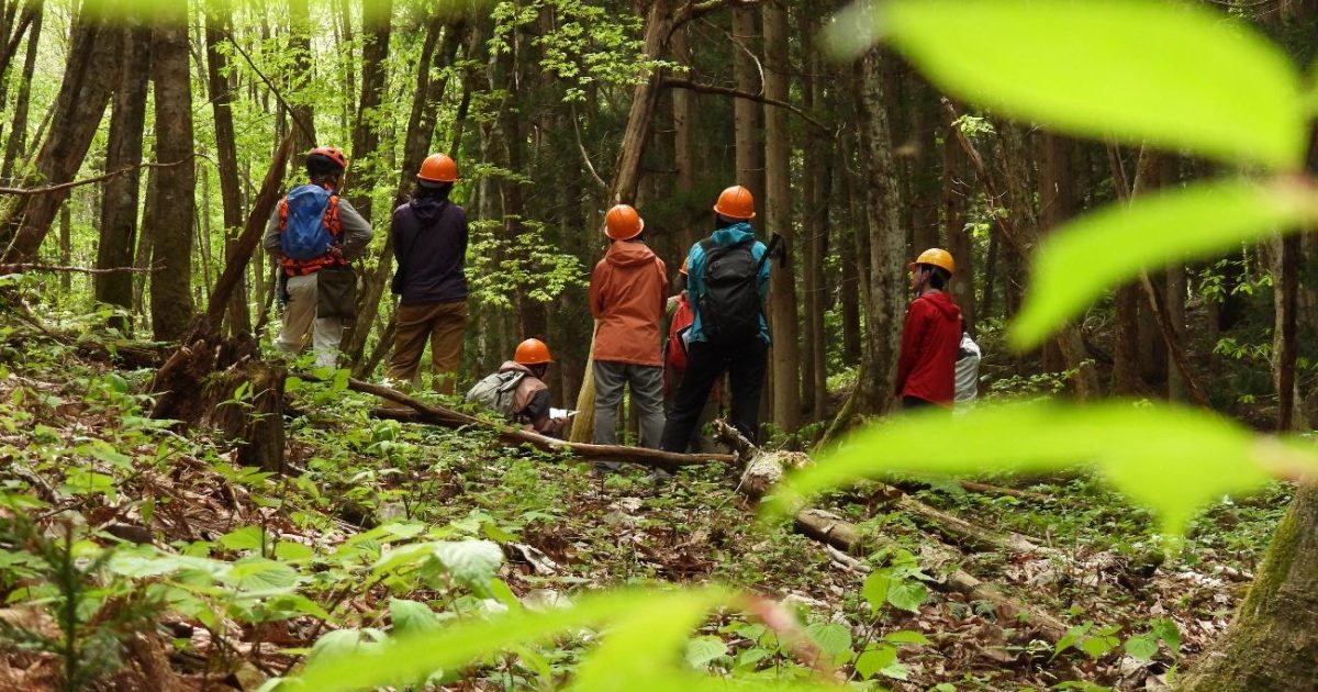 【くまいずみ】〜１０月分お取り置き〜 寄稿】クマに連れ出してもらう、「かもしれない」の世界 | Hidakuma